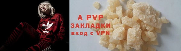 крисы Новозыбков