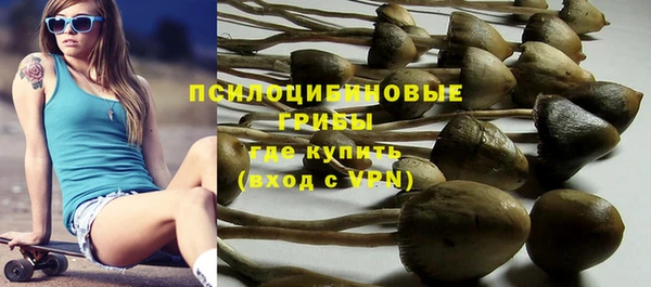 ECSTASY Нязепетровск