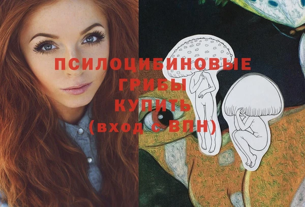 меф Няндома